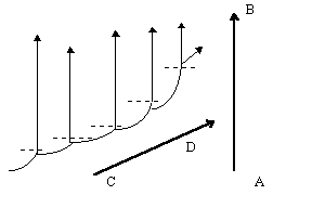 Рис. 3. Соотношение вертикальной и горизонтальной (диагональной) эволюции:пунктиром отмечено неотеническое «срезание» поздних этапов онто- и филогенеза; реугольные стрелки — прогрессивная эволюция в филумах; вектор AB — вертикальная эволюция; вектор CD — горизонтальная (диагональная) эволюция.