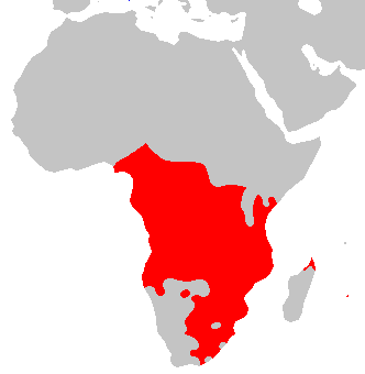 afrika-bantu